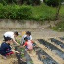 영화초교 이미지