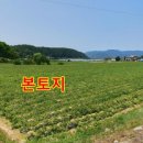 서면 신매리 자전거쉼터 네이버블로그