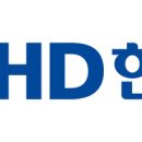 262 한국증권신문
