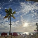 호우농장 | 11월 하와이여행 Day.3 에그앤띵스/베이빈 디저트바/호우말루히아 식물원/코스트코/비치하우스 엣더 모아나