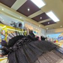 올블링 펫 부티끄 애견용품 | 올블링 펫 부띠끄