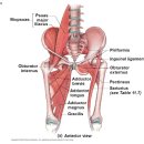 더블케이짐 이미지