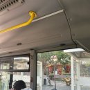 석조농장 | 셀축에서 에페소 가는 법과 에페소 후기, 꿀팁