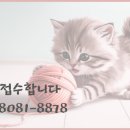 오거리부동산중개 이미지