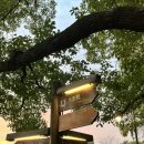 도도라이브카페 | 중국 상하이 여행 필수코스 추천! 수향마을 서책 후기｜낮부터 야경까지 감성 폭발 우전 수향마을 서책...