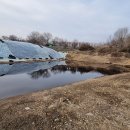 건등축산 | [경악]구역질 나는 악취에 침출수 현장 영상