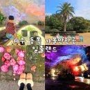 제주도건강랜드 | 제주도 동쪽 가볼만한곳 용암동굴 미천굴 제주 족욕체험까지 일출랜드