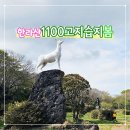 꽃피는노래연습장 | 제주 한라산 1100고지습지 진달래 피는 완연한 봄 나무에 피는 꽃