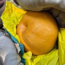 지오농장 이미지