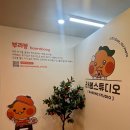 라봉스튜디오