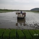 황소농장 이미지