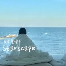 파노라마오션뷰풀빌라 | [포항 풀빌라] 파노라마 오션뷰 “ 스타스케이프 풀빌라 A203 스폐셜 ” 숙박 후기