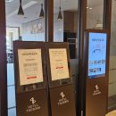 호텔 더본 제주 디럭스패밀리 &amp; 조식 탐모라 내돈내산 후기