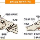 싯디요가협동조합