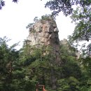 분당서현2-A-8 이미지