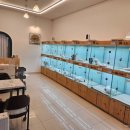 이정훈 강아지 이미지