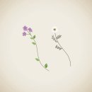 사천여자고등학교 이미지