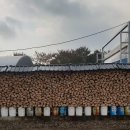 여주-0135 이미지