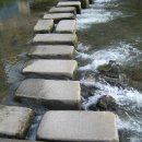 그 해 가을 이미지