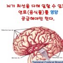 윤허브