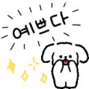 아진네일