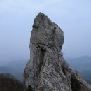 땅끝남도의향기 Daum카페