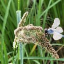 정강석 농장 이미지