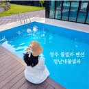 청남대풀빌라 | 대전 근교 청주풀빌라 펜션 추천 청남대풀빌라 룸 수영장 온수풀 후기