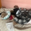 멍돌하우스 이미지