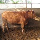 종호농장 이미지