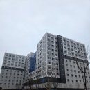 다감,차 | 교원대 대학원 다감관 후기, 파견교사 기숙사 선택이유