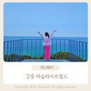 현대정비 | 강릉 가볼 만한 곳 하슬라아트월드