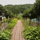 아침에 새소리 이미지