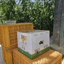 귀소농장 이미지