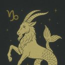 염소자리 이미지