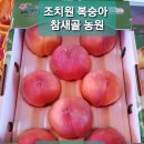 참새골농원 이미지