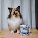 코아덴탈 이미지