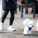 내성동물병원 이미지