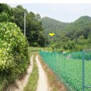 청평교회 건너편 이미지