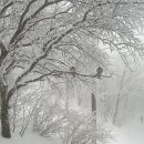 수채화로 그리는 세상 이미지