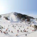 웰리힐리파크 이미지