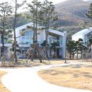 망상리조트 스낵카페 이미지