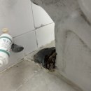 한양기공사 이미지