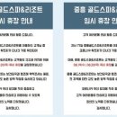 골드스파 이미지