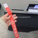 벡스코, 집사들이라면 추천드리는 '궁디 팡팡 캣 페스타' 솔직 후기