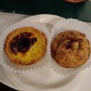 피크니크 이미지