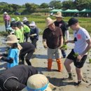 인안초등학교 이미지