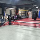 번영 복싱체육관 이미지