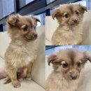 안정로14번길 이미지