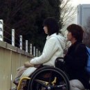 더뷰티플라이프